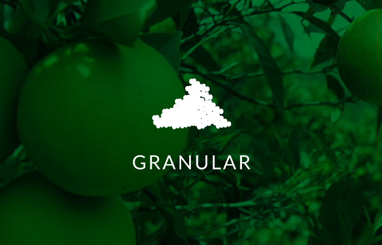 GRANULAR